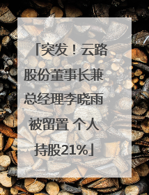突发！云路股份董事长兼总经理李晓雨被留置 个人持股21%