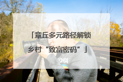 章丘多元路径解锁乡村“致富密码”
