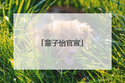 章子怡官宣