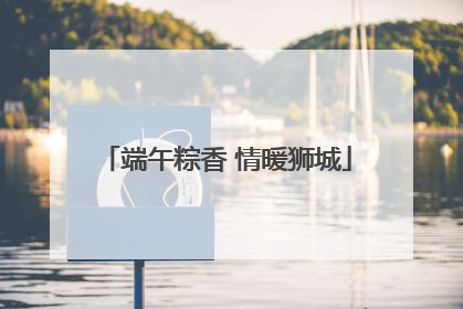 端午粽香 情暖狮城