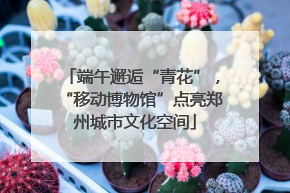 端午邂逅“青花”，“移动博物馆”点亮郑州城市文化空间