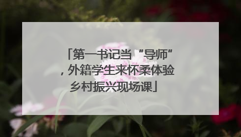第一书记当“导师”，外籍学生来怀柔体验乡村振兴现场课