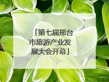 第七届邢台市旅游产业发展大会开幕
