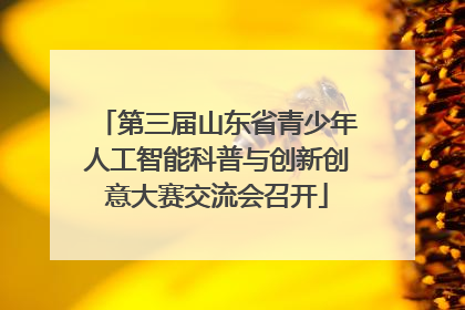 第三届山东省青少年人工智能科普与创新创意大赛交流会召开