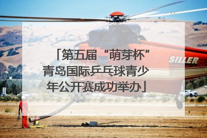 第五届“萌芽杯”青岛国际乒乓球青少年公开赛成功举办