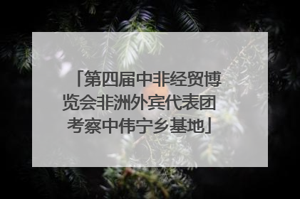 第四届中非经贸博览会非洲外宾代表团考察中伟宁乡基地