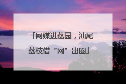 网媒进荔园，汕尾荔枝借“网”出圈