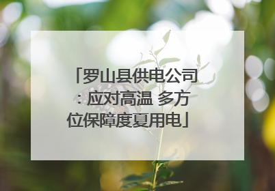 罗山县供电公司：应对高温 多方位保障度夏用电