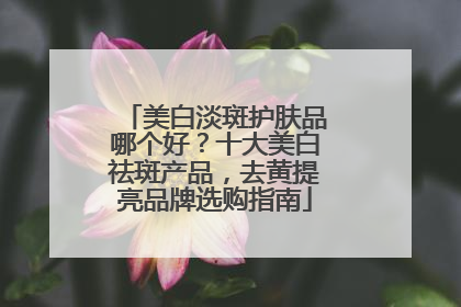 美白淡斑护肤品哪个好？十大美白祛斑产品，去黄提亮品牌选购指南