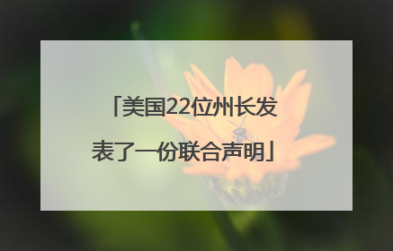 美国22位州长发表了一份联合声明