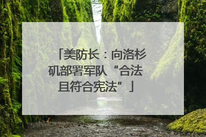 美防长：向洛杉矶部署军队“合法且符合宪法”