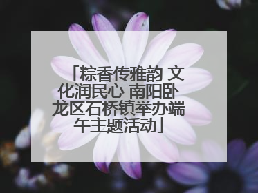 粽香传雅韵 文化润民心 南阳卧龙区石桥镇举办端午主题活动