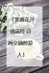 紫薇花开铺满径 诗画交融醉游人