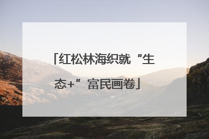 红松林海织就“生态+”富民画卷