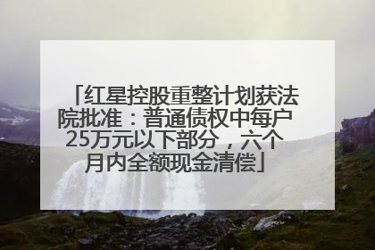 红星控股重整计划获法院批准：普通债权中每户25万元以下部分，六个月内全额现金清偿