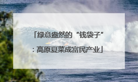 绿意盎然的“钱袋子”：高原夏菜成富民产业