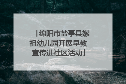 绵阳市盐亭县嫘祖幼儿园开展早教宣传进社区活动