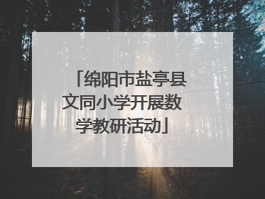 绵阳市盐亭县文同小学开展数学教研活动