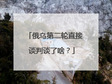 俄乌第二轮直接谈判谈了啥？