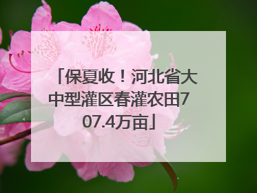 保夏收！河北省大中型灌区春灌农田707.4万亩
