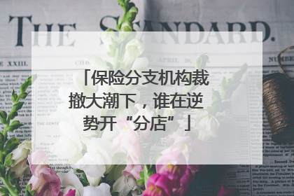 保险分支机构裁撤大潮下，谁在逆势开“分店”