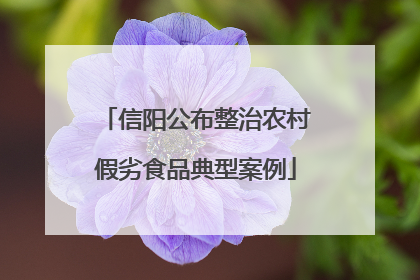 信阳公布整治农村假劣食品典型案例