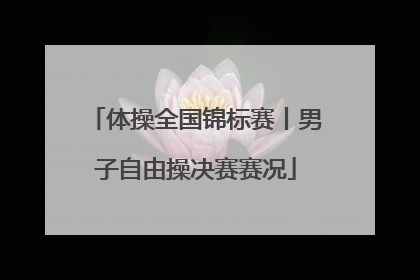 体操全国锦标赛丨男子自由操决赛赛况