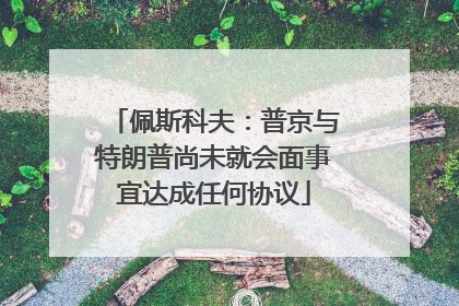 佩斯科夫：普京与特朗普尚未就会面事宜达成任何协议