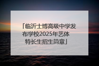 临沂士博高级中学发布学校2025年艺体特长生招生简章