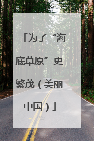 为了“海底草原”更繁茂（美丽中国）