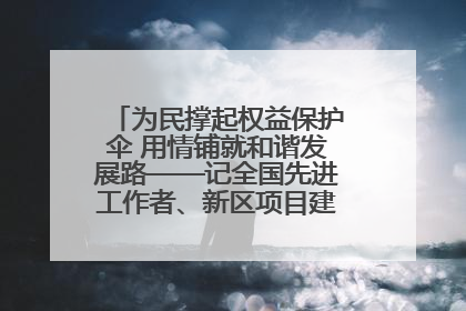 为民撑起权益保护伞 用情铺就和谐发展路——记全国先进工作者、新区项目建设中心干部卢小勇