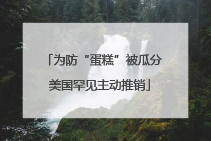 为防“蛋糕”被瓜分 美国罕见主动推销