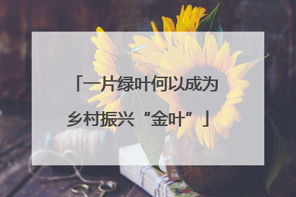 一片绿叶何以成为乡村振兴“金叶”