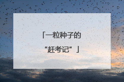 一粒种子的“赶考记”