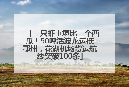 一只虾重堪比一个西瓜！90吨活波龙运抵鄂州，花湖机场货运航线突破100条