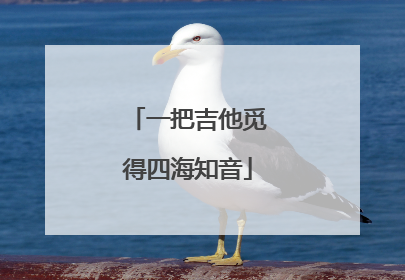 一把吉他觅得四海知音