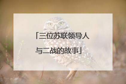 三位苏联领导人与二战的故事