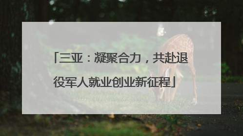 三亚：凝聚合力，共赴退役军人就业创业新征程
