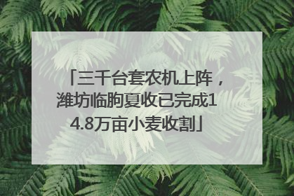 三千台套农机上阵，潍坊临朐夏收已完成14.8万亩小麦收割