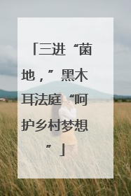三进“菌地，”黑木耳法庭“呵护乡村梦想”