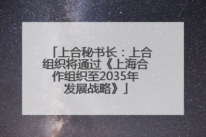 上合秘书长：上合组织将通过《上海合作组织至2035年发展战略》