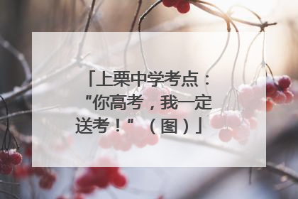 上栗中学考点：“你高考，我一定送考！”（图）
