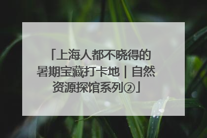 上海人都不晓得的 暑期宝藏打卡地｜自然资源探馆系列②