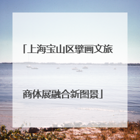 上海宝山区擘画文旅商体展融合新图景