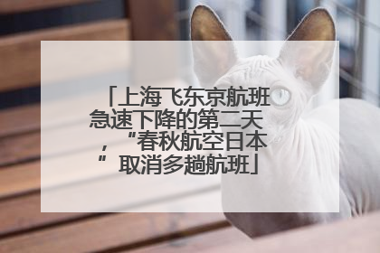 上海飞东京航班急速下降的第二天，“春秋航空日本”取消多趟航班