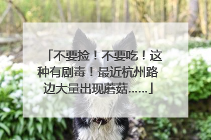 不要捡！不要吃！这种有剧毒！最近杭州路边大量出现蘑菇……