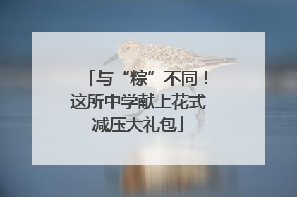 与“粽”不同！这所中学献上花式减压大礼包