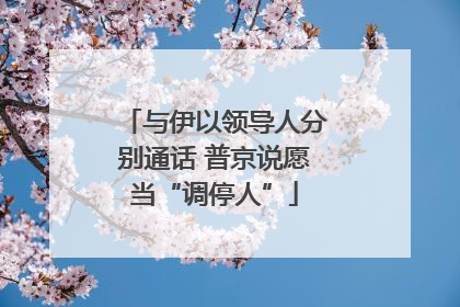 与伊以领导人分别通话 普京说愿当“调停人”