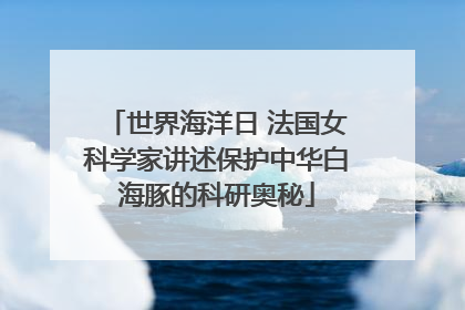 世界海洋日 法国女科学家讲述保护中华白海豚的科研奥秘