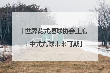 世界花式撞球协会主席：中式九球未来可期